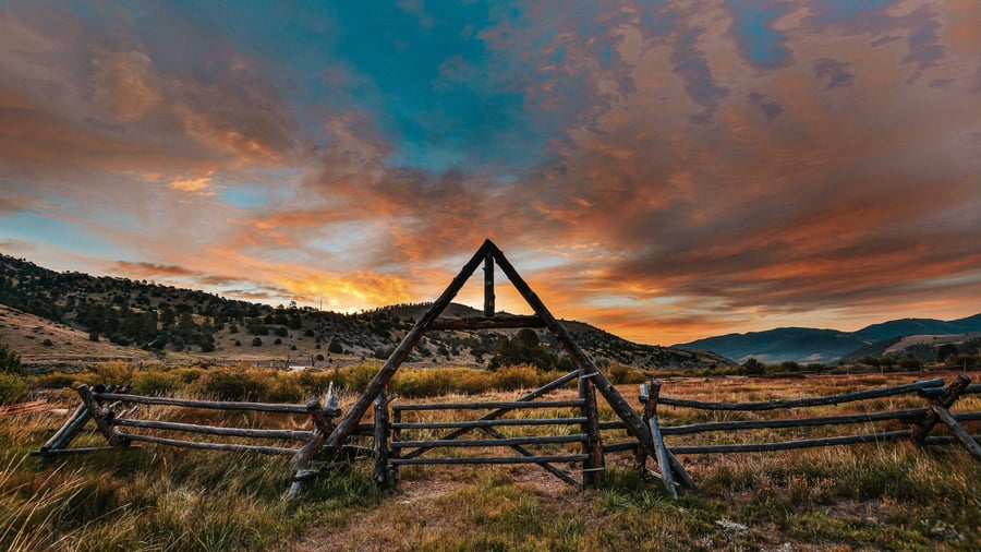 Blog - The Colorado Retreat Co Pasture
